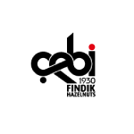 Çebi Fındık Ordu